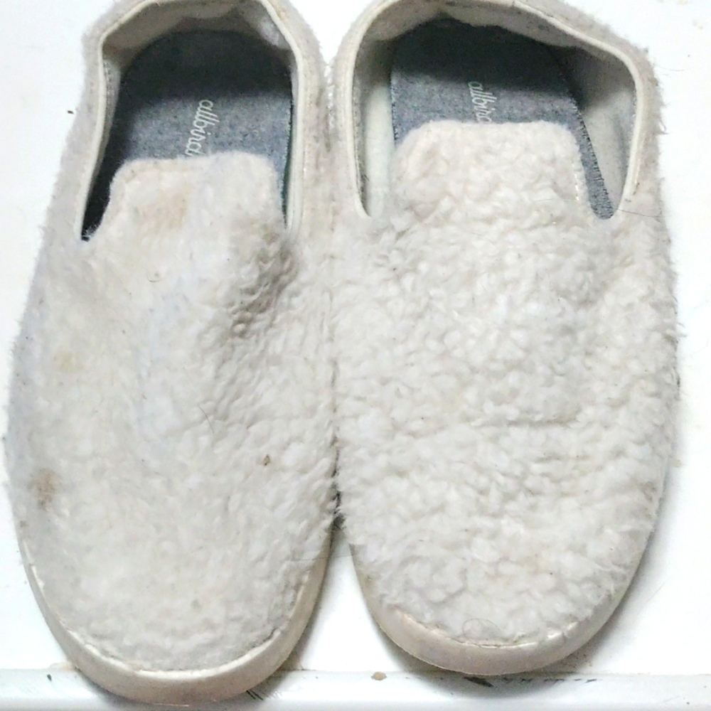 All birds slip on shoes